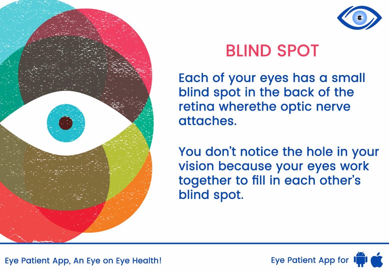 What is Blind Spot?